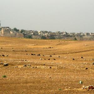 Syria. Men and stories of stone